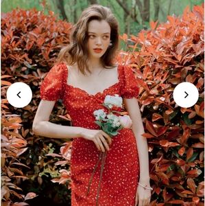 Petite Studio NYC Maisy Dress